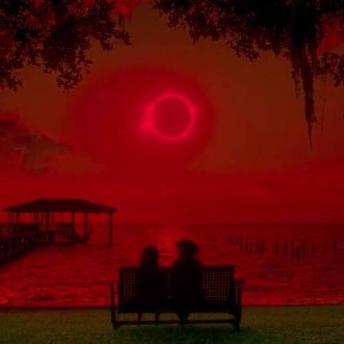The 12 Best Movies With a Solar Eclipse