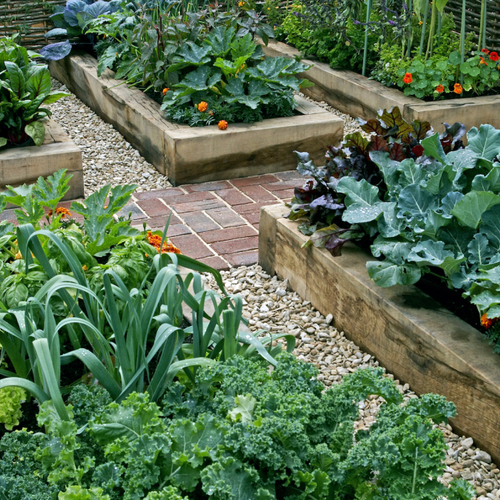 Use the Shade in Your Garden to Grow More Vegetables