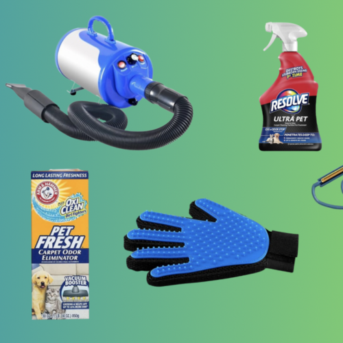 The Best Products and Tools to Clean Up After a Pet