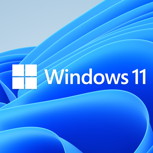 How to Set up Windows 11 Without a Microsoft Account