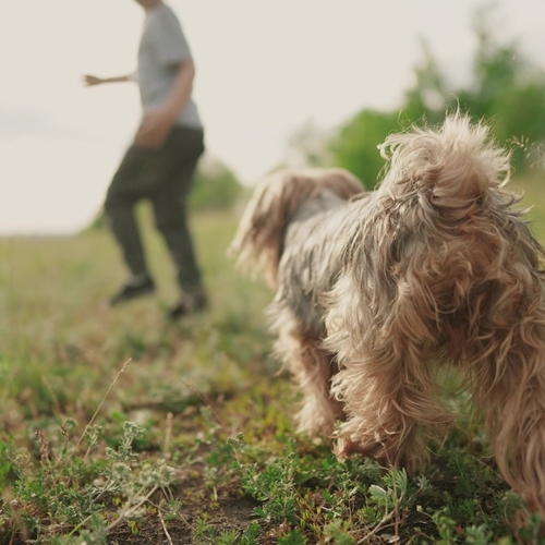 How to Help Your Kid Cope With the Loss of a Pet