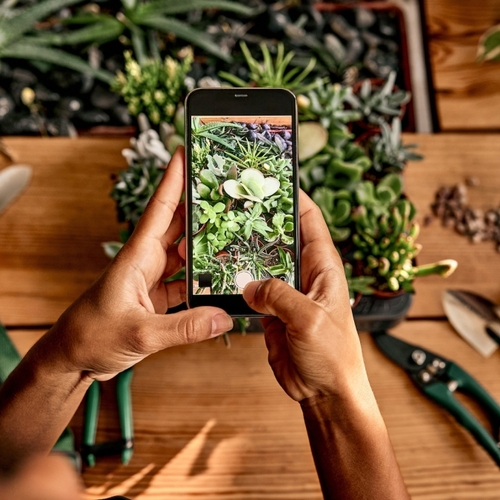 These Are the Best Free Gardening Apps