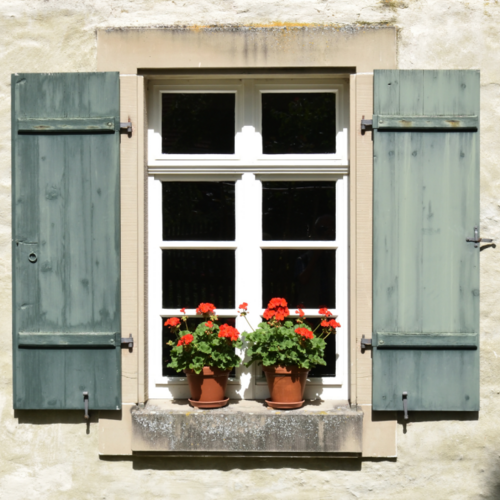 20 Different Kinds of Windows (and When to Choose Each for Your Home)