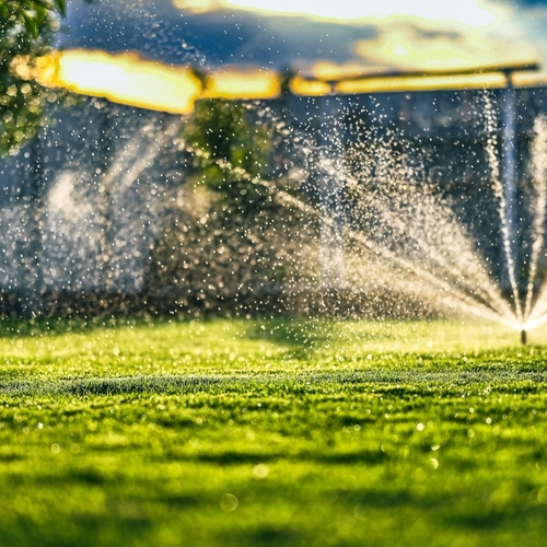 Seven Ways to Conserve Water in Your Yard This Summer