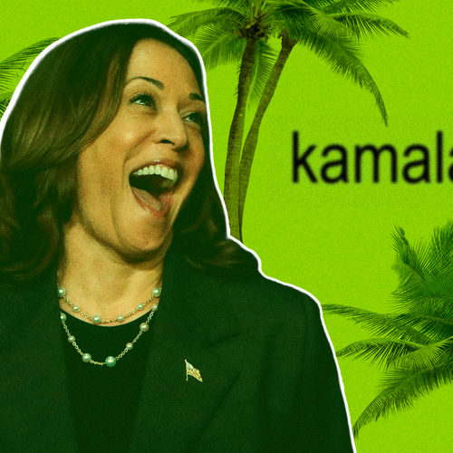 A Guide to Understanding All Those Kamala Harris Memes