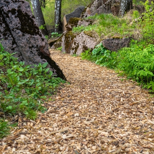 Three Cheap (or Free) Materials to Create a Garden Walkway