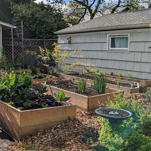 How to Build a Raised Garden Bed That Will Last