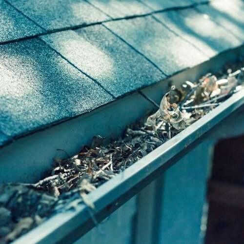 Three (Possibly Superior) Alternatives to Rain Gutters