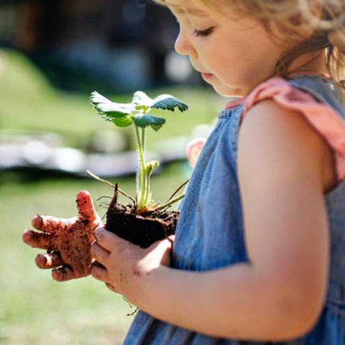 How to Grow a Foolproof First Garden With Your Kids