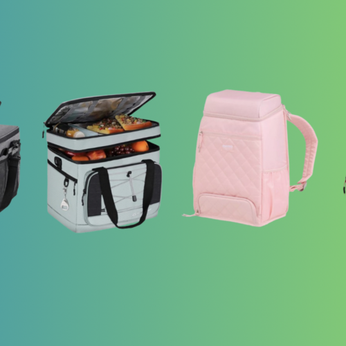 The Best Portable Coolers You Should Buy This Summer