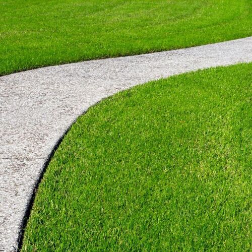 Five of the Least Terrible Types of Grass