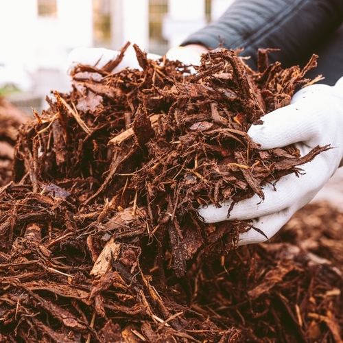 How to Get Cheap (or Free) Mulch and Compost