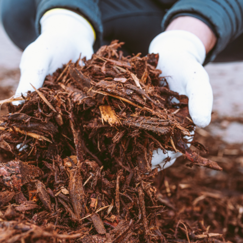 It's Time to Order Compost and Mulch