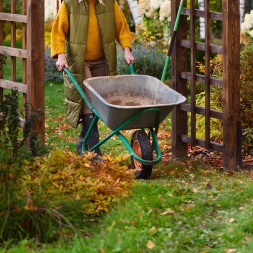 These Are the Tools I Use for Fall Cleanup