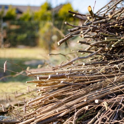 Five Ways to Repurpose Fallen Branches and Twigs in Your Yard