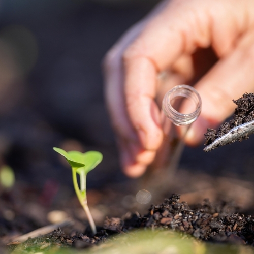 How to Get Your Soil Tested for Free (and Why You Should)