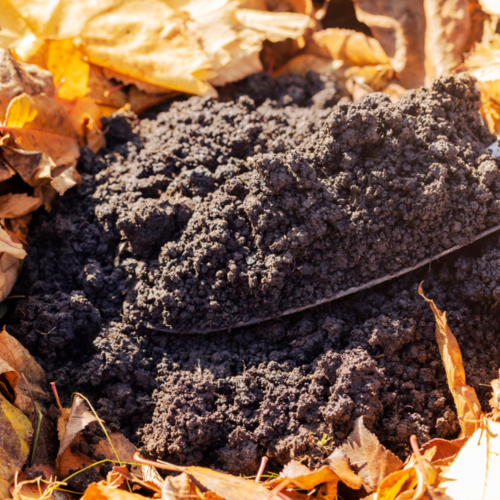 The Easiest Ways to Nurse Your Garden Soil Back to Health This Winter