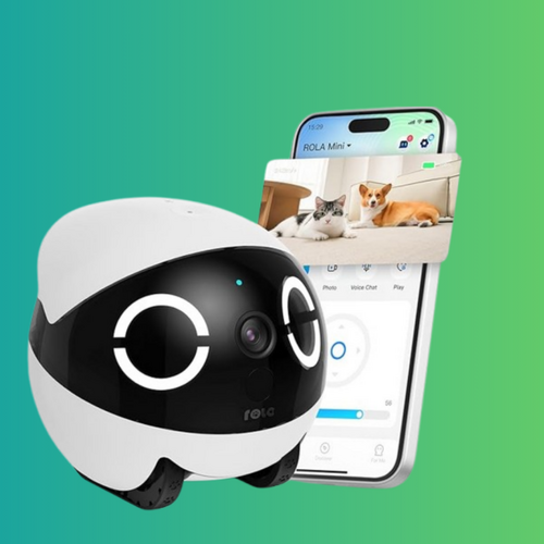 Why the ROLA Mini Pet Camera Is My Favorite Deal