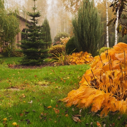 The Surprising Benefits of Skipping Fall Yard Cleanup