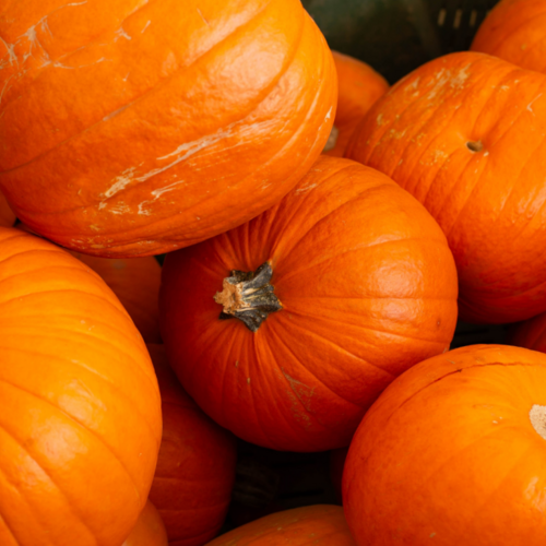 What to Look for (and Avoid) When Selecting a Pumpkin