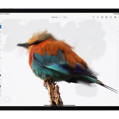 Adobe’s Procreate-like Digital Painting App Is Now Free for Everyone