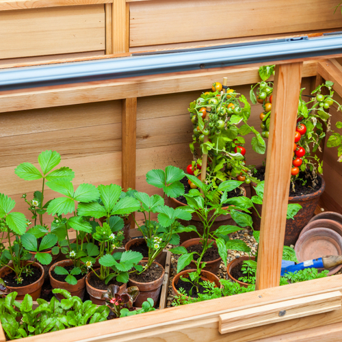 The Three Best Ways to Extend Your Growing Season Into Fall