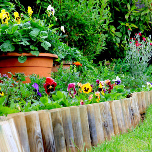 Make Your Yard Look More Polished With Garden Edging