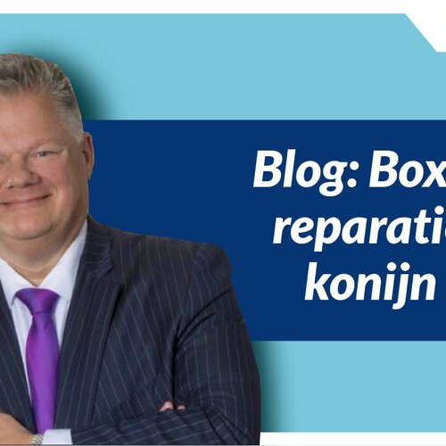 Box-3 Reparatiekonijn
