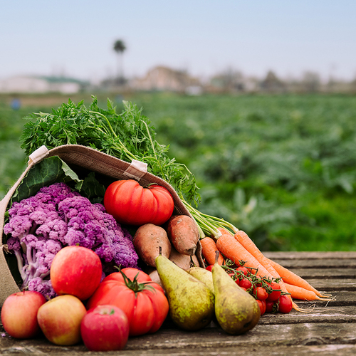 Tuinbouwbedrijf betaalde €120.000 belasting voor gezonde lunch