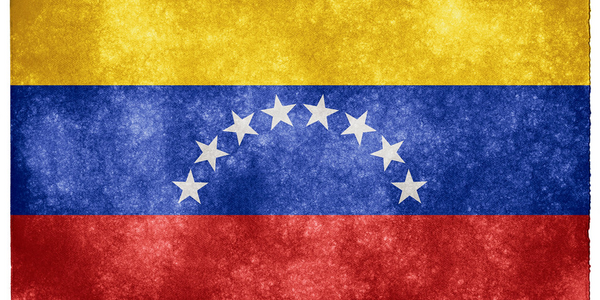 Chasing The Roots of the Venezuelan Collapse