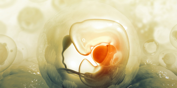 Research Using Cells of Illicit Origin and Vaccines from Fetal Tissue
