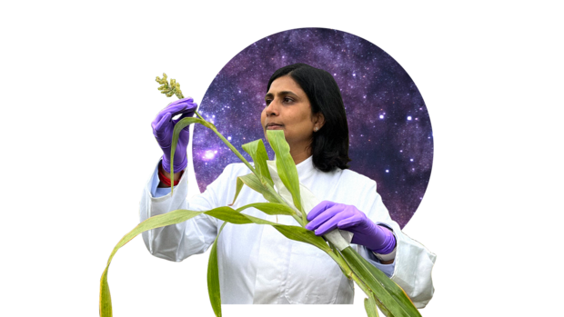 A collage of a woman in purple nitrile gloves holding a long plant stalk. In the background there is a circle with stars and space